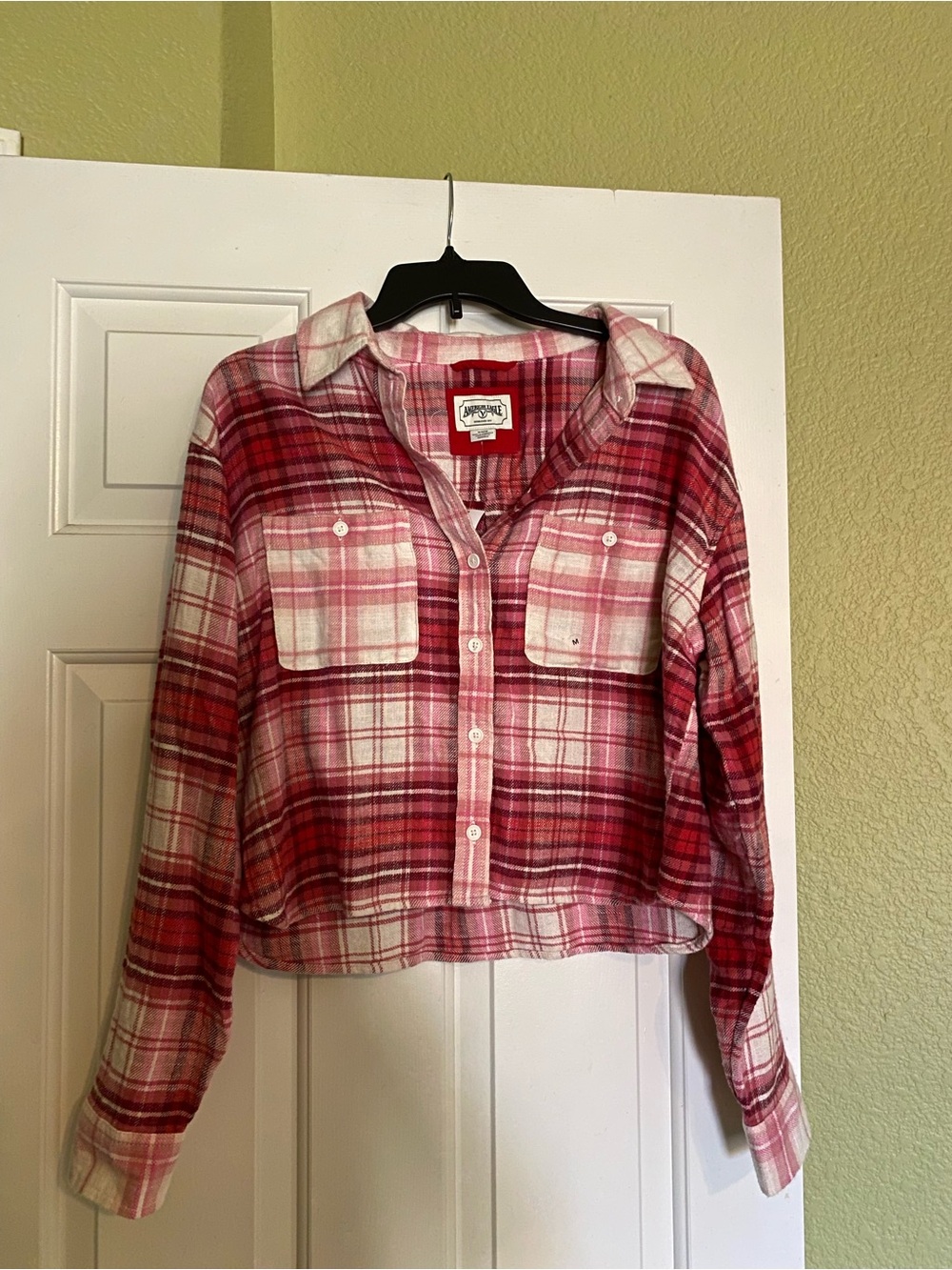 American Eagle Outfitters Pink and Red Plaid Button-Front Young Woman